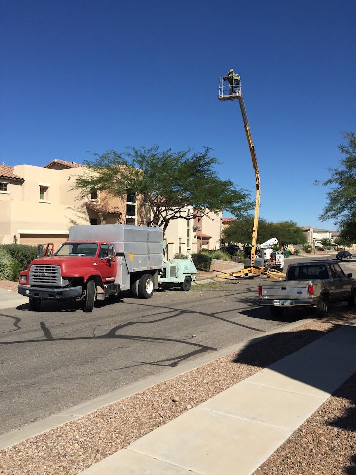 AAA Mammoth Tree & Landscaping project